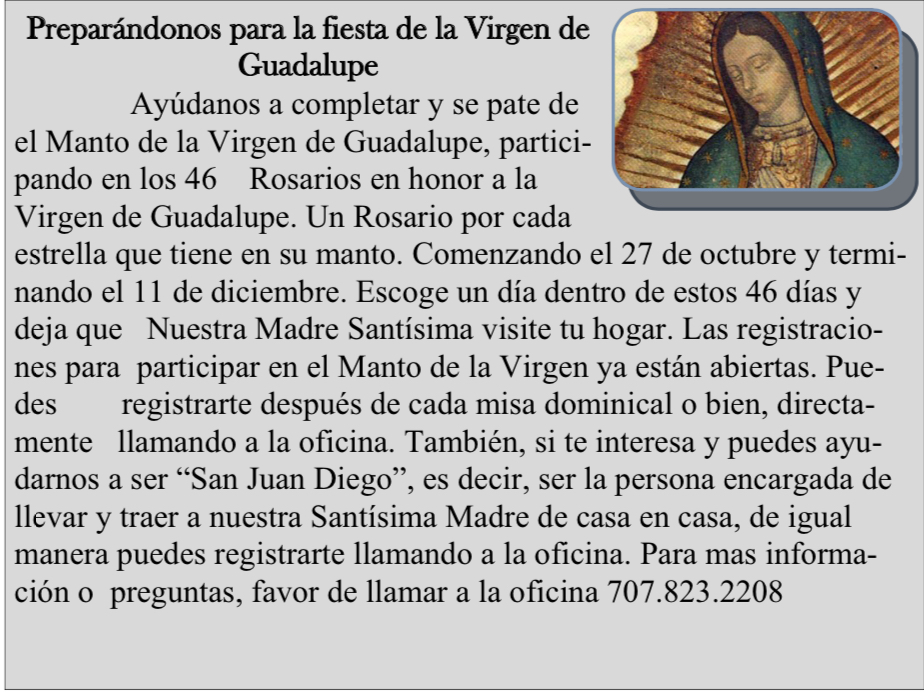 Preparándonos Para La Fiesta de la Virgen de Guadalupe – Welcome